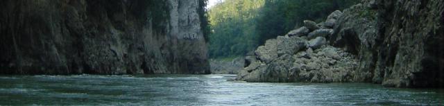 Header graphic.