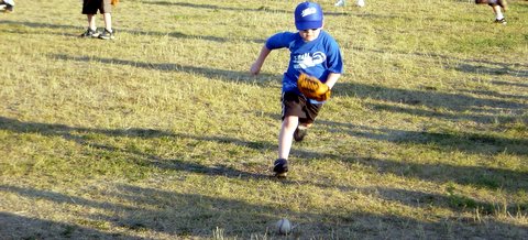 Final t-ball game