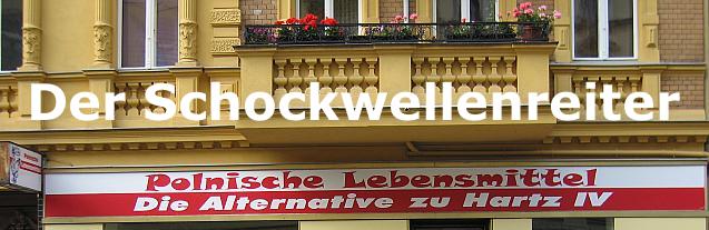 Der Schockwellenreiter: Die Alternative zu Hartz IV